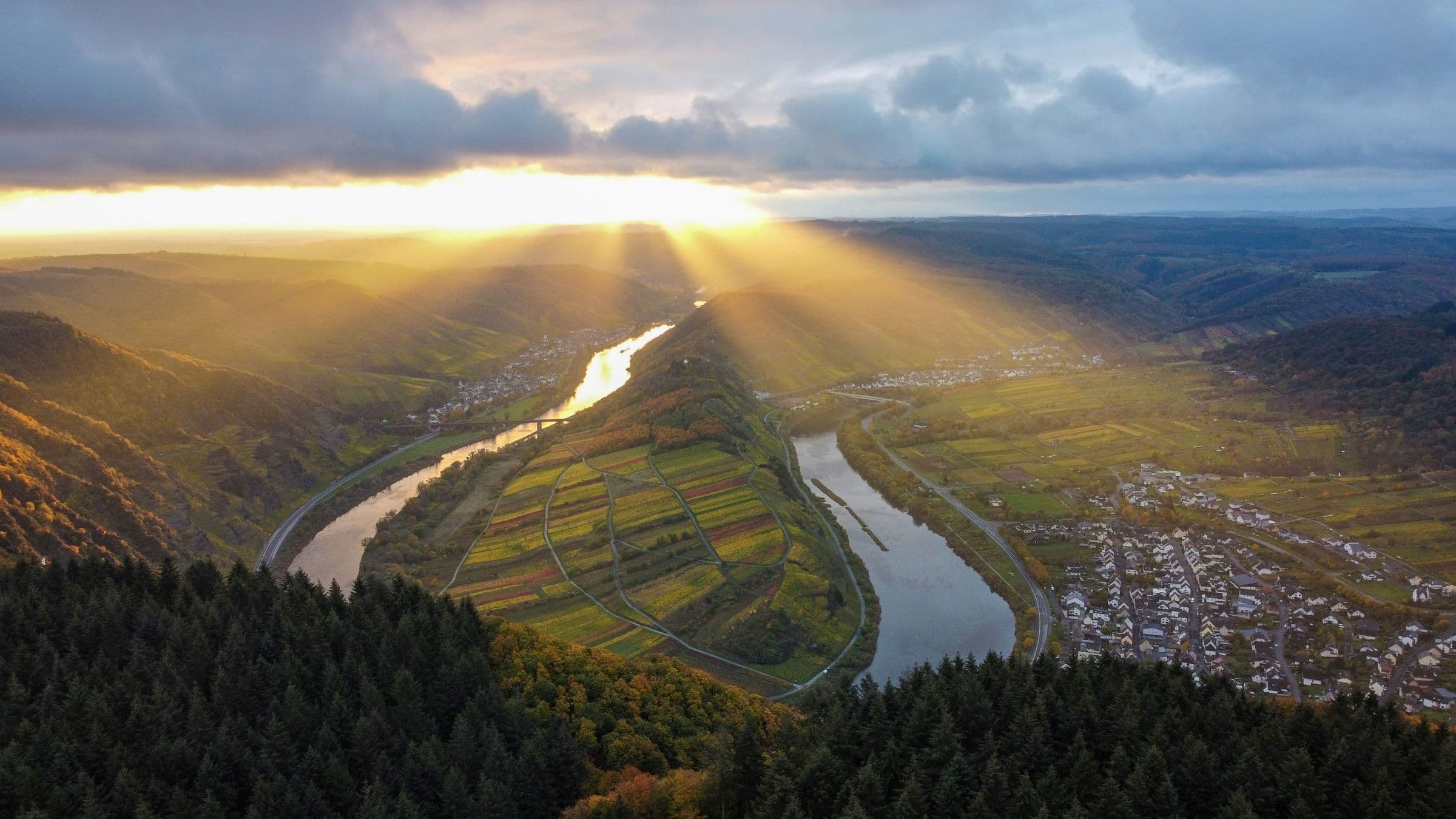 Luftbild der Moselschleife bei Bremm mit Weinbergen am Steilhang