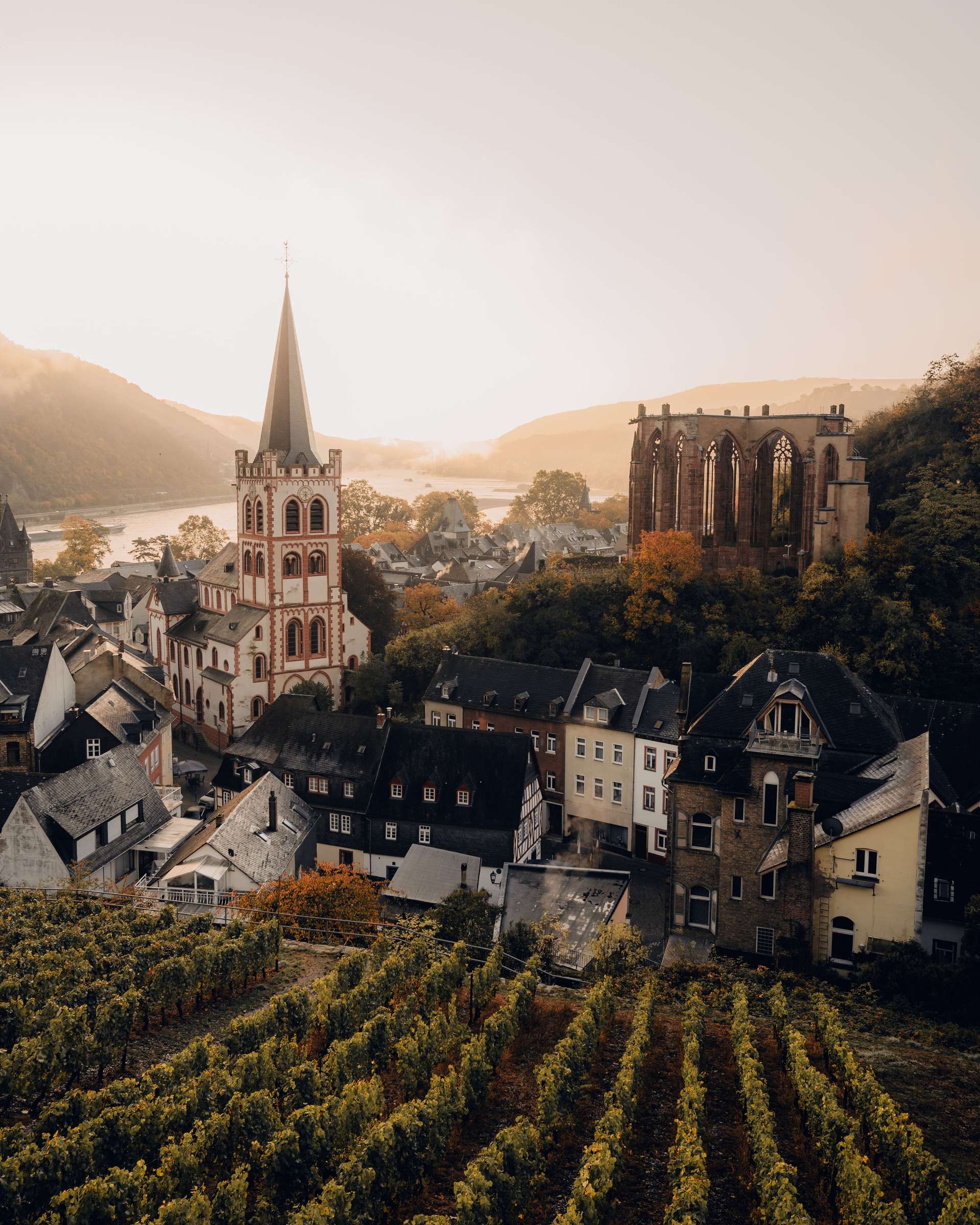 Bacharach am Mittelrhein mit Weinbergen bei Sonnenaufgang