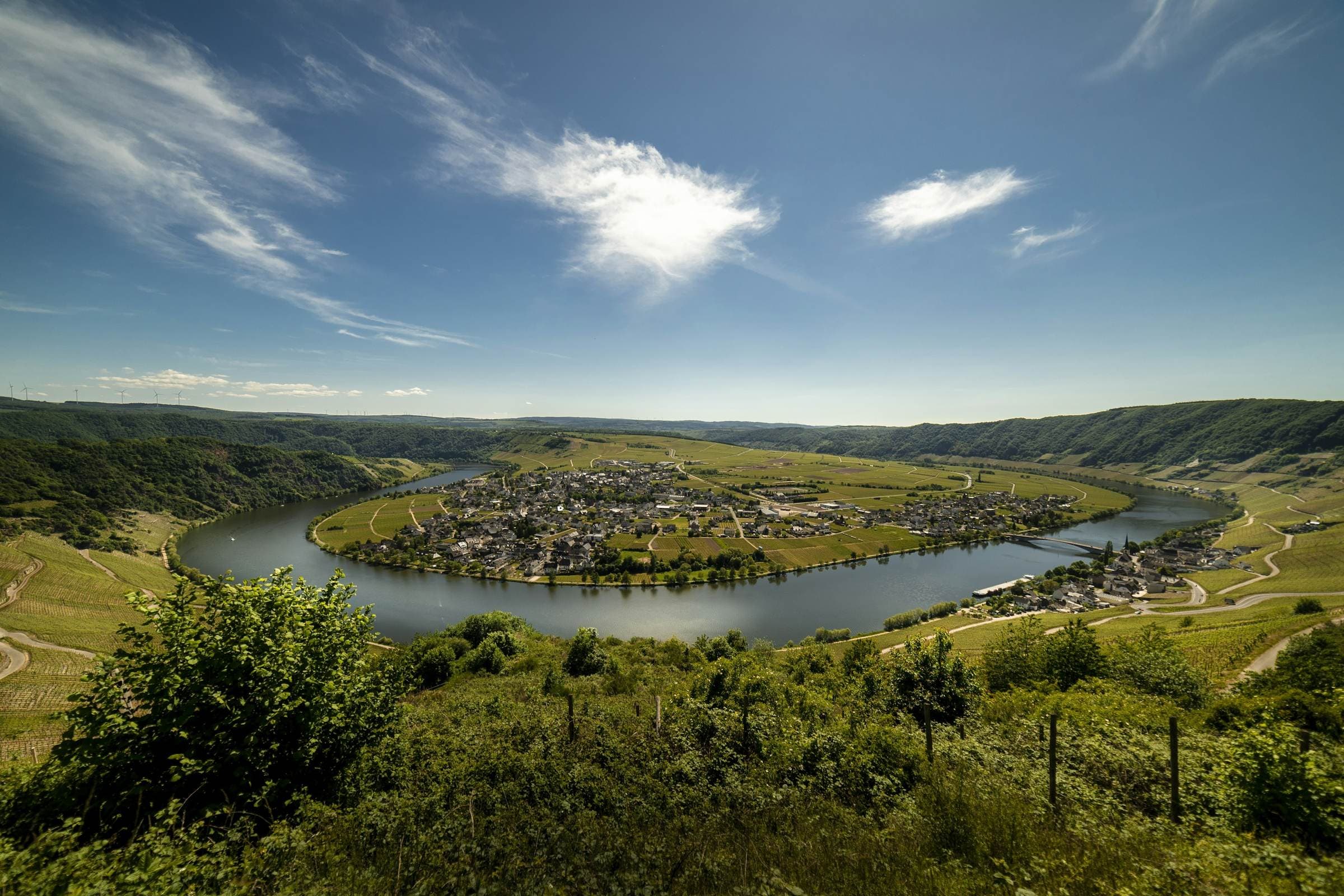 Moselschleife bei Piesport und Minheim mit Weinbergen an den Hängen
