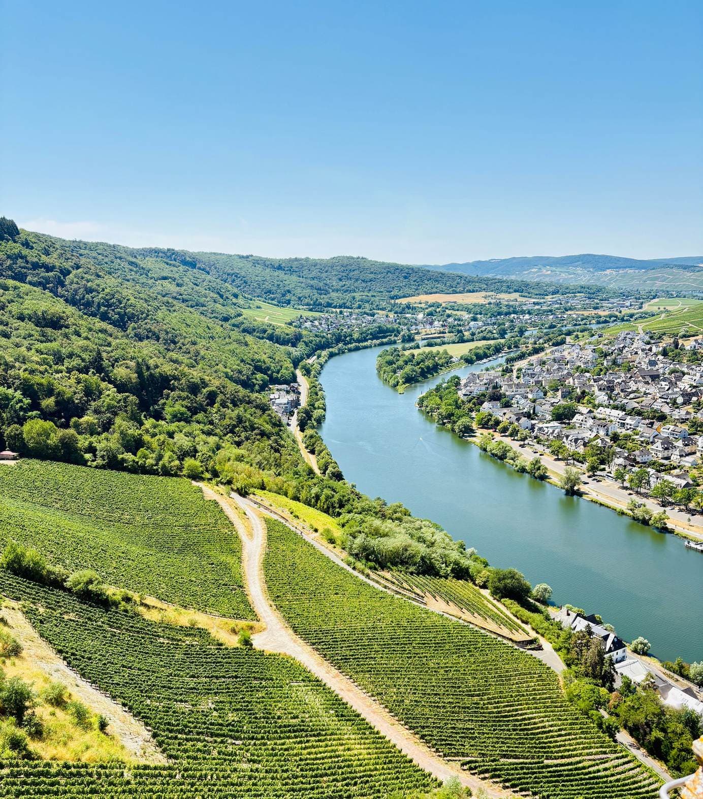 Luftaufnahme der Weinberge über der Mosel bei Bernkastel-Kues