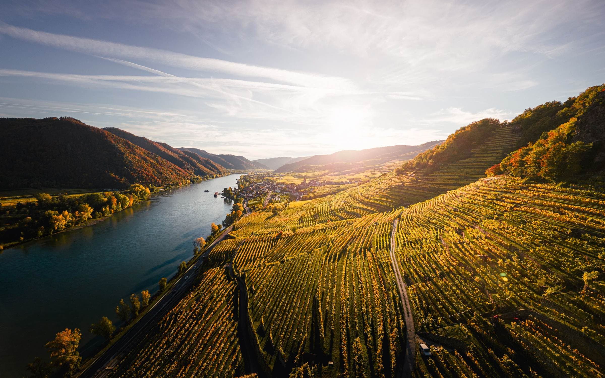 Terrassierte Weinberge bei Weißenkirchen in der Wachau im herbstlichen Abendlicht